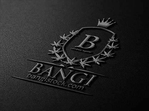 (BPRW) Cannabis Real Estate Firm BANGI, Inc. Appoints Music Mogul & Founder of Destiny's Child Mathew Knowles as Chief Marketing Officer | Black PR Wire, Inc.