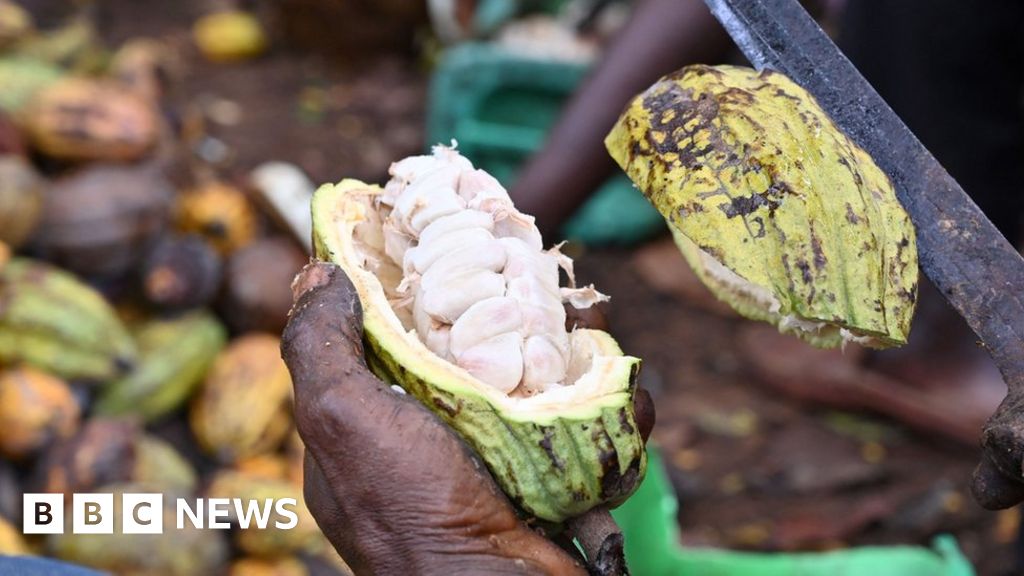 US Supreme Court blocks child slavery lawsuit against chocolate firms